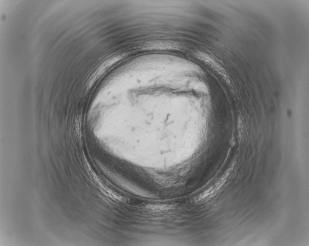 X0000058781033200510211743