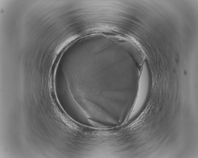 X0000058781034200510211743