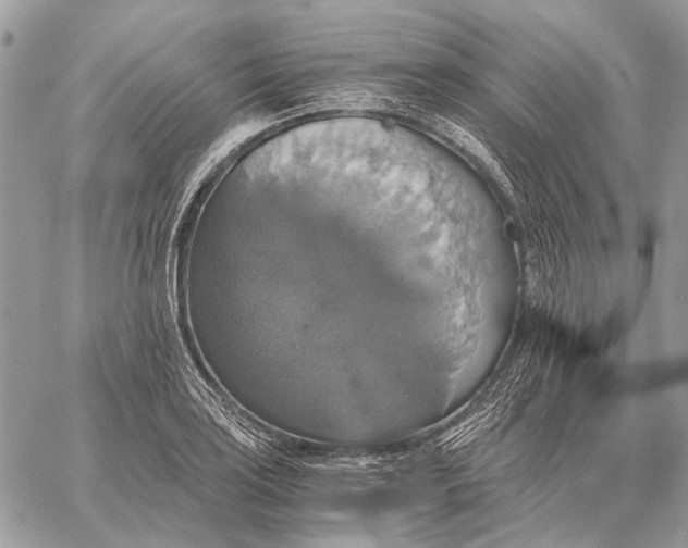 X0000058781035200510211743