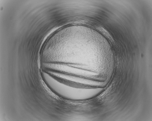 X0000058781036200510211743