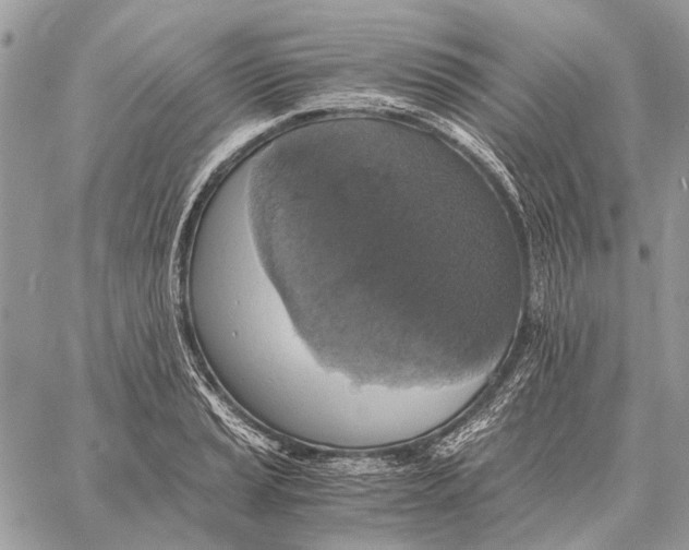 X0000058781037200510211743