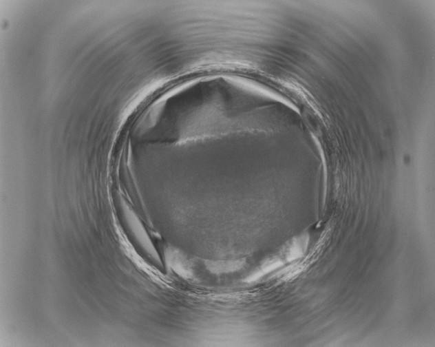 X0000058781038200510211743