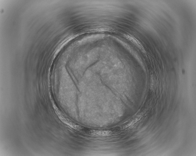 X0000058781039200510211743