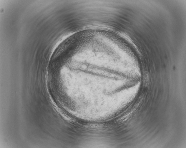 X0000058781040200510211743