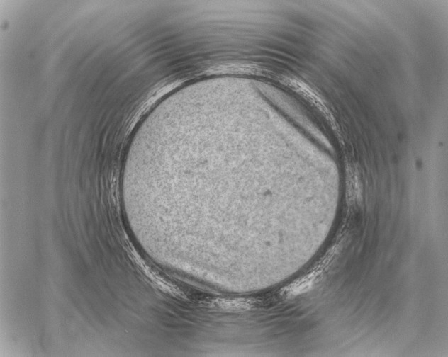 X0000058781041200510211743