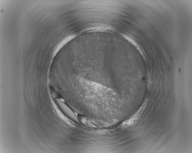 X0000058781042200510211743