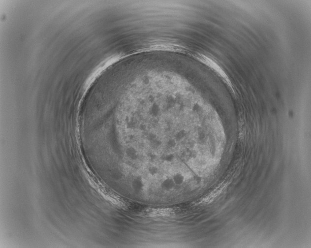 X0000058781043200510211743