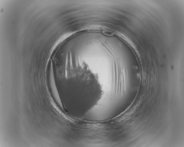 X0000058781045200510211743