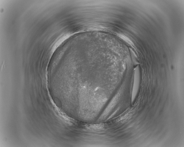 X0000058781047200510211743