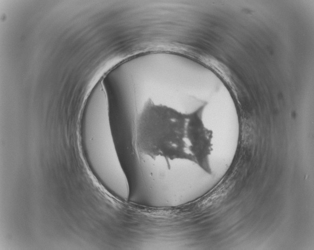 X0000058781048200510211743