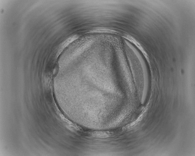 X0000058781049200510211743