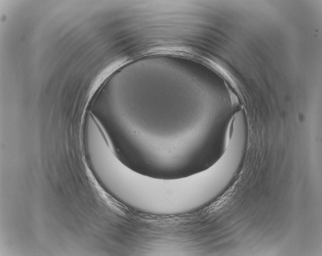 X0000058781050200510211743