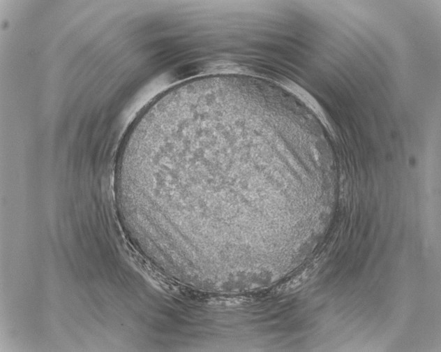 X0000058781051200510211743