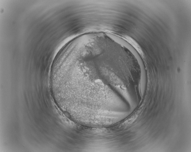 X0000058781052200510211743