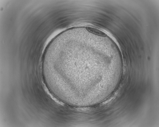 X0000058781053200510211743