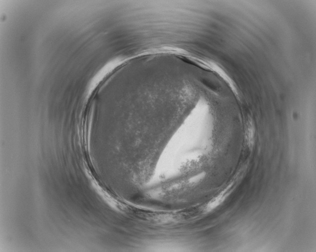 X0000058781054200510211743