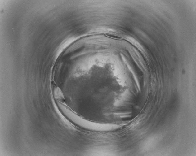 X0000058781055200510211743