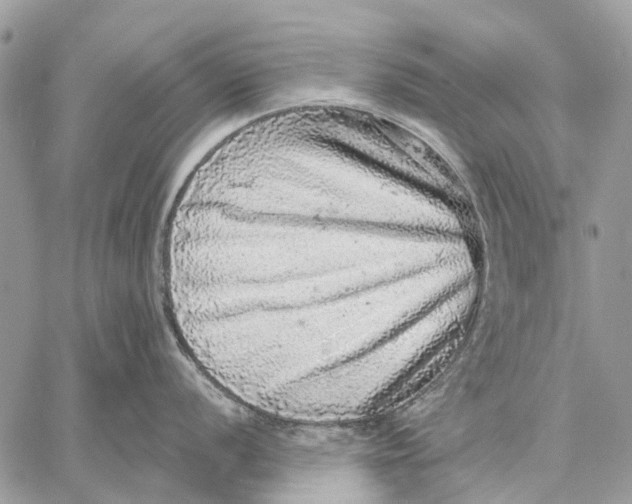 X0000058781056200510211743