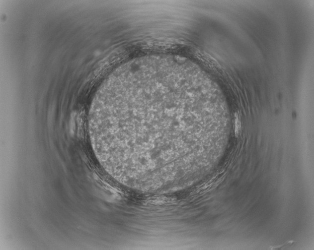 X0000058781059200510211742