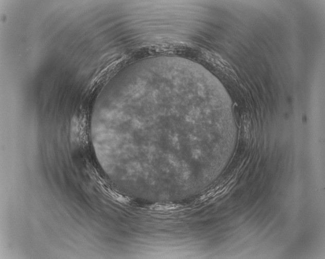 X0000058781060200510211742