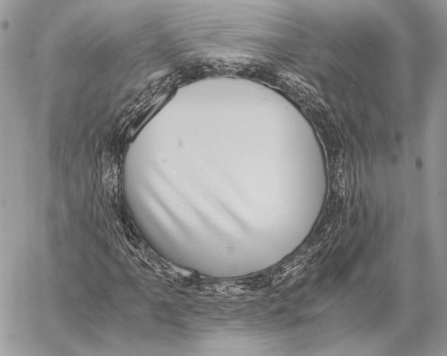 X0000058781061200510211742