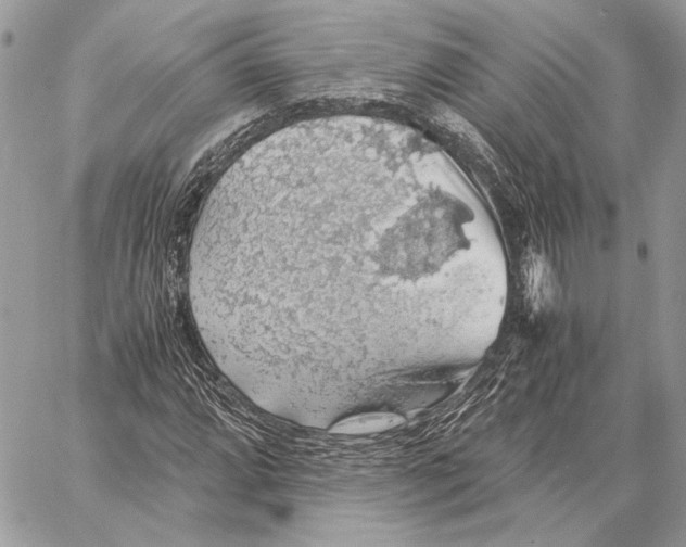 X0000058781064200510211742