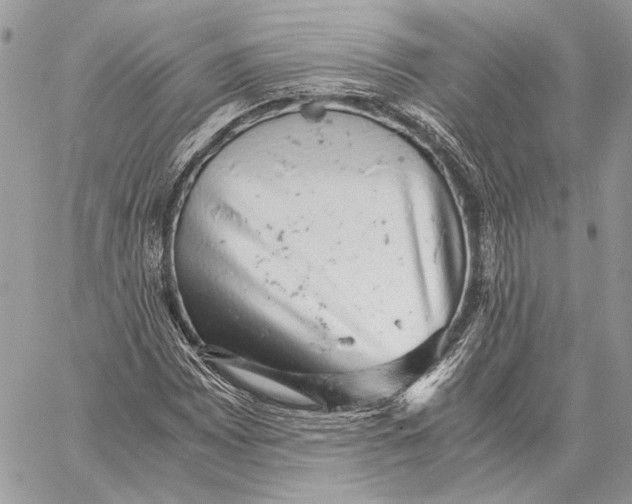 X0000058781065200510211742