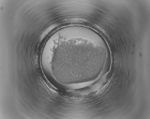 X0000058781066200510211742