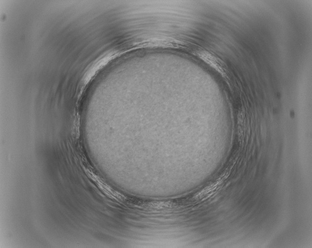 X0000058781067200510211742