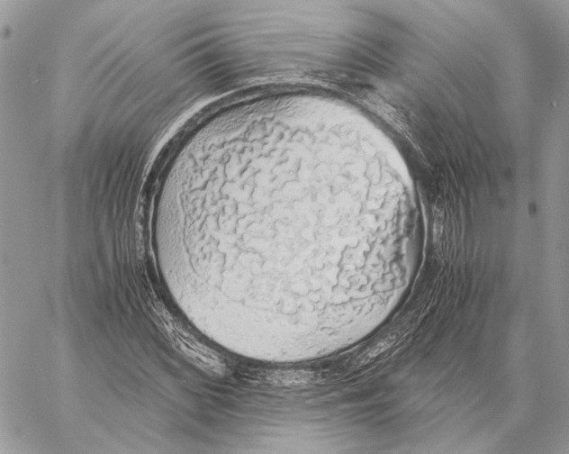 X0000058781068200510211742