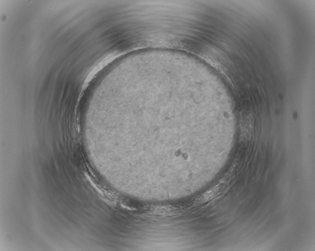 X0000058781070200510211742