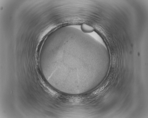 X0000058781071200510211742