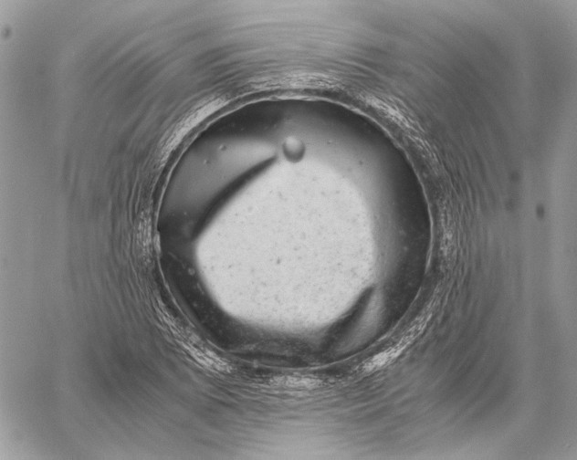 X0000058781073200510211742