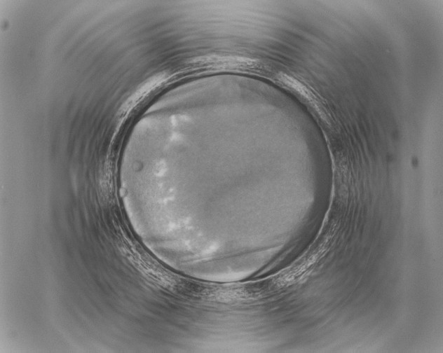 X0000058781074200510211742