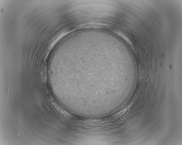 X0000058781075200510211742