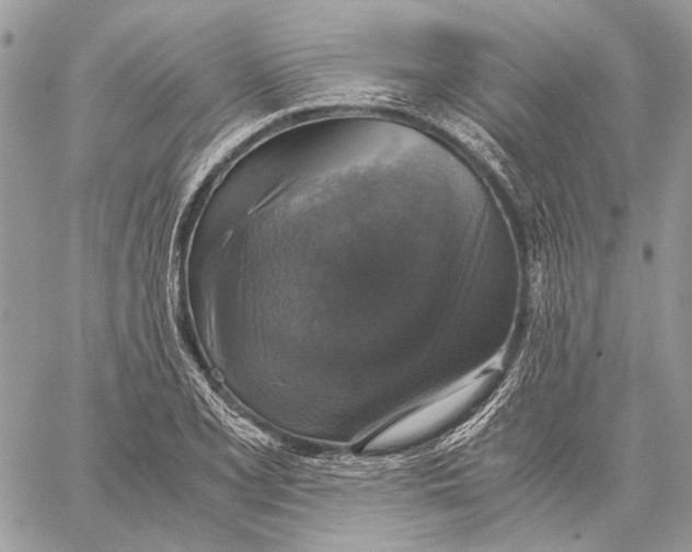 X0000058781077200510211742