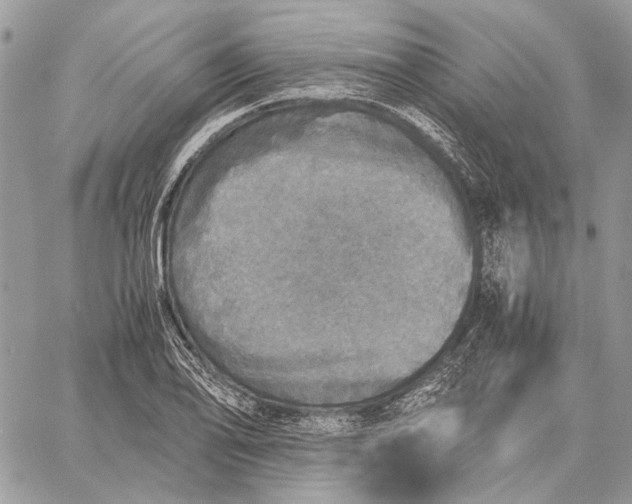 X0000058781078200510211742