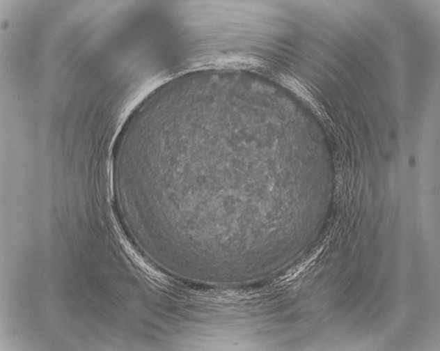 X0000058781079200510211742