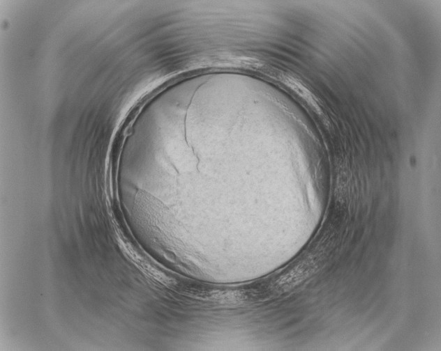 X0000058781080200510211742