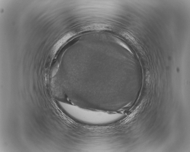 X0000058781081200510211742