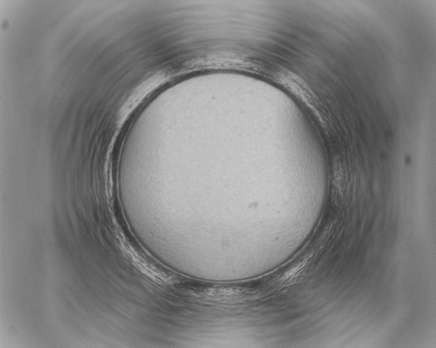 X0000058781082200510211742