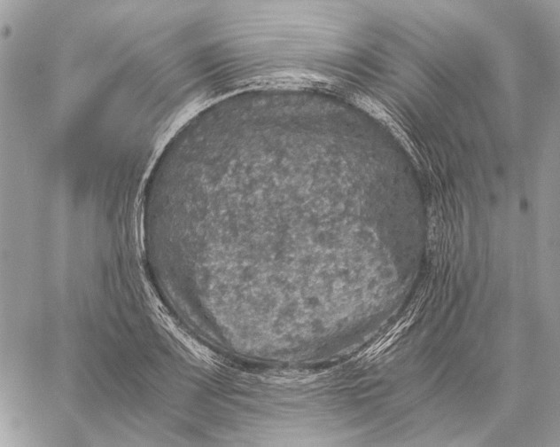 X0000058781083200510211742