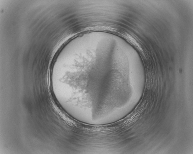 X0000058781084200510211742