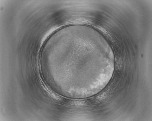 X0000058781086200510211742