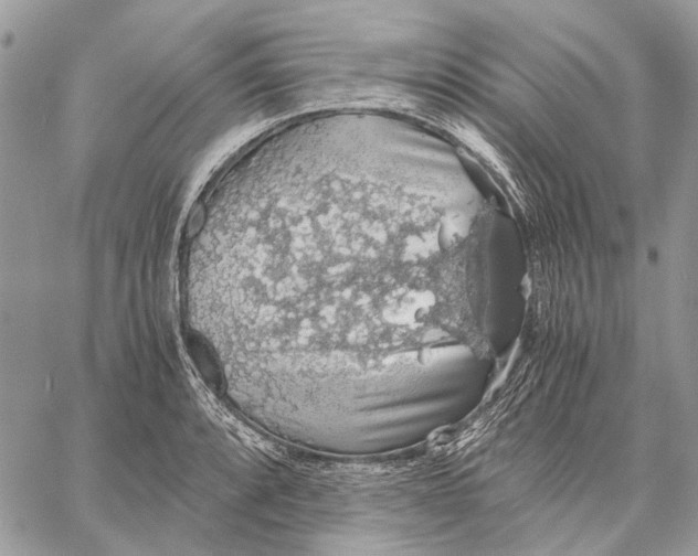 X0000058781088200510211742