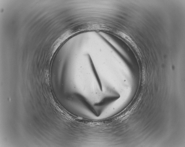 X0000058781089200510211742