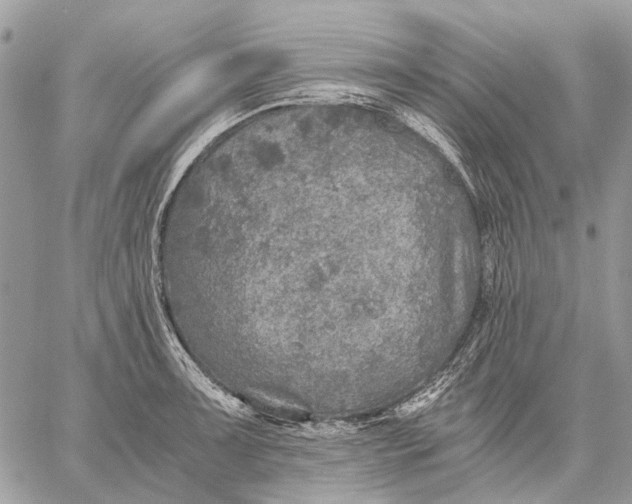 X0000058781091200510211742