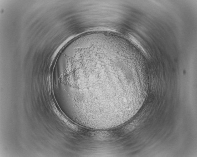 X0000058781092200510211742