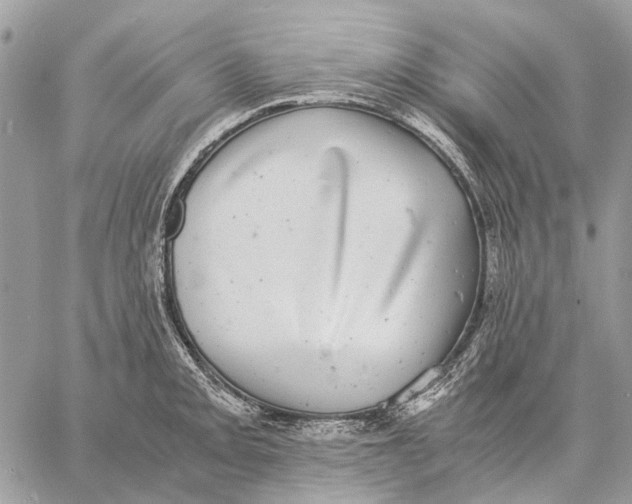 X0000058781093200510211742