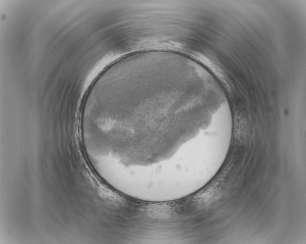 X0000058781094200510211742